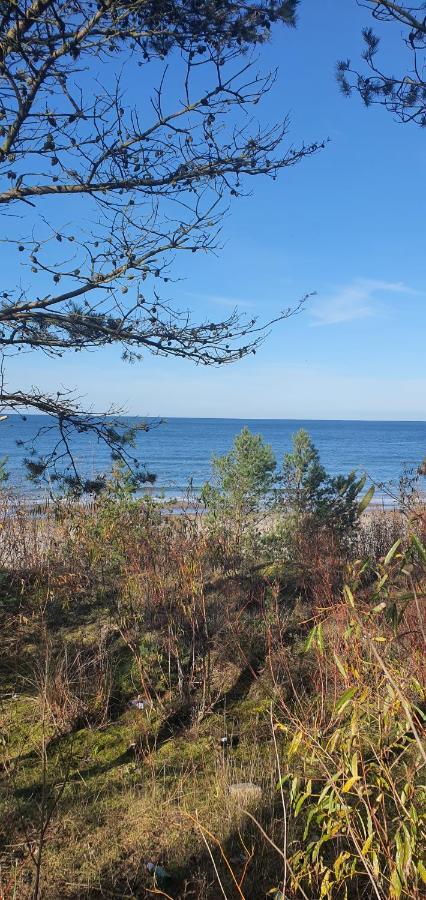 Apartament Gryf Mare Międzywodzie Zewnętrze zdjęcie